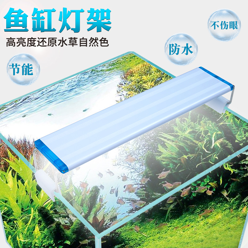 加高水草 新人首单立减十元 21年8月 淘宝海外