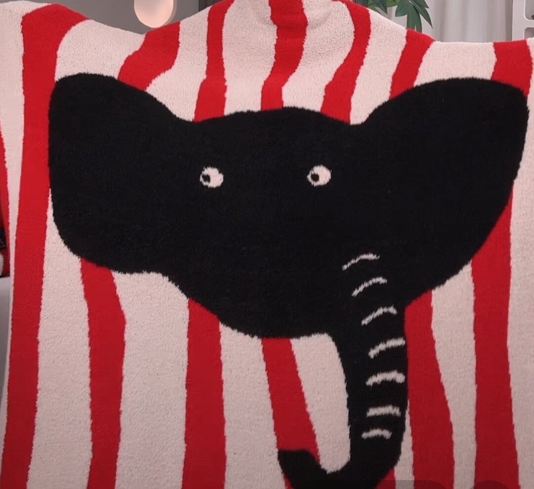 孟菲斯冰岛海盐小狗半边绒盖毯轻薄休闲毛毯午睡空调沙发毯子办公