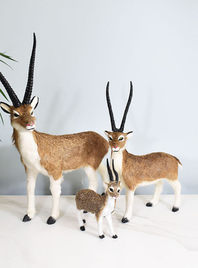 仿真羚羊藏羚羊动物模型羊皮纯手工橱窗卧室家居软装摆件拍摄道具
