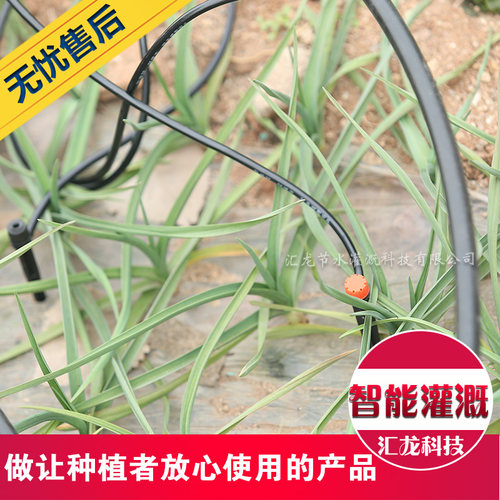 47毛管35毛管811毛管配件直通喷头设备微喷PE管滴箭套装滴灌接头 - 图1