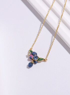 四季浆果蓝莓绿叶小水钻蓝莓吊