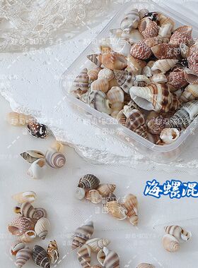 海星贝壳海螺混装艺术垃圾