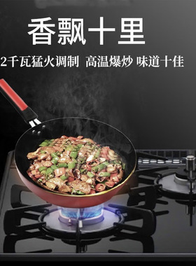 Rinnai林内日式原装进口大火力爆炒双头嵌入式烤箱一体燃气灶具