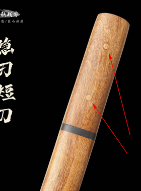 龙泉高锰钢一体短刀隐刃袖珍唐刀