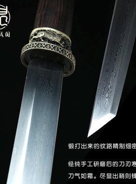 龙泉麒麟短剑小剑唐横刀