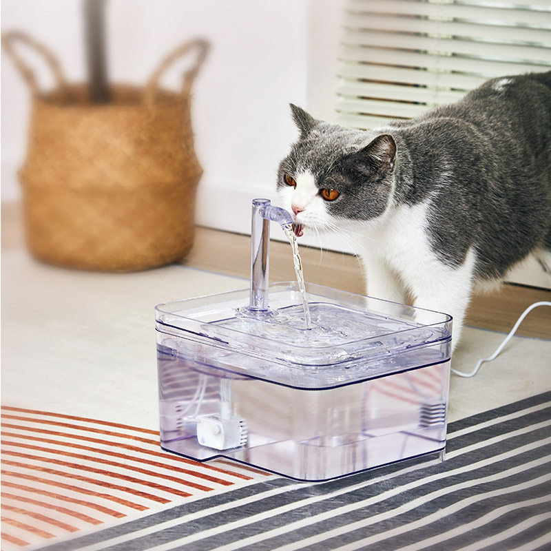 透明宠物饮水机智能猫咪狗狗电自动循环活流恒温加热喂喝神器碗盆,淘宝优惠券,粉丝福利购,淘宝优惠卷