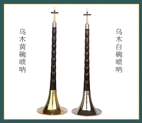 Музыкальные инструменты из черного дерева Эбен для взрослых для начинающих, полный комплект, подходит для начинающих