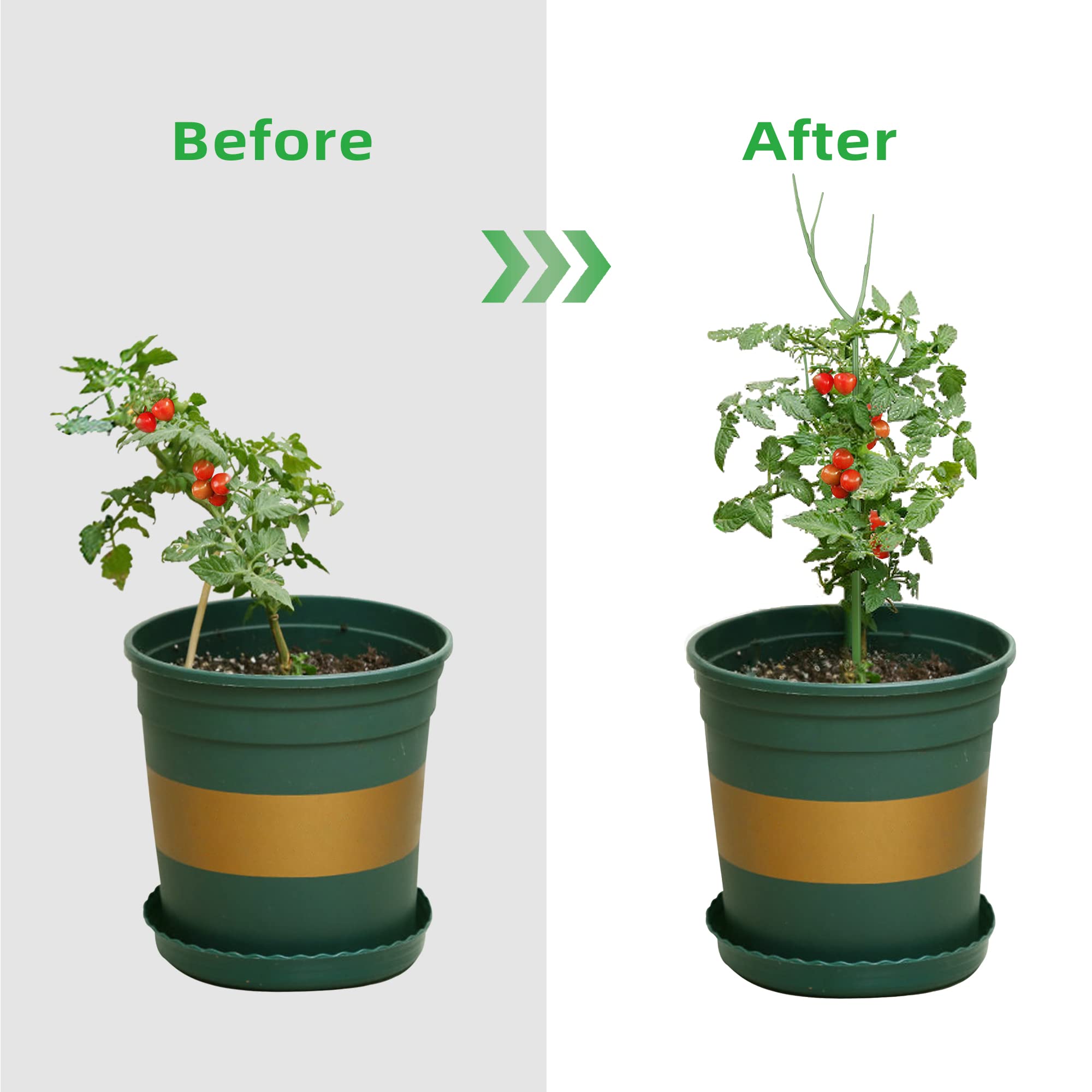 文竹支撑架植物固定防倒伏龟背竹支撑杆绿萝爬藤花架支架园艺造型,淘宝优惠券,粉丝福利购,淘宝优惠卷