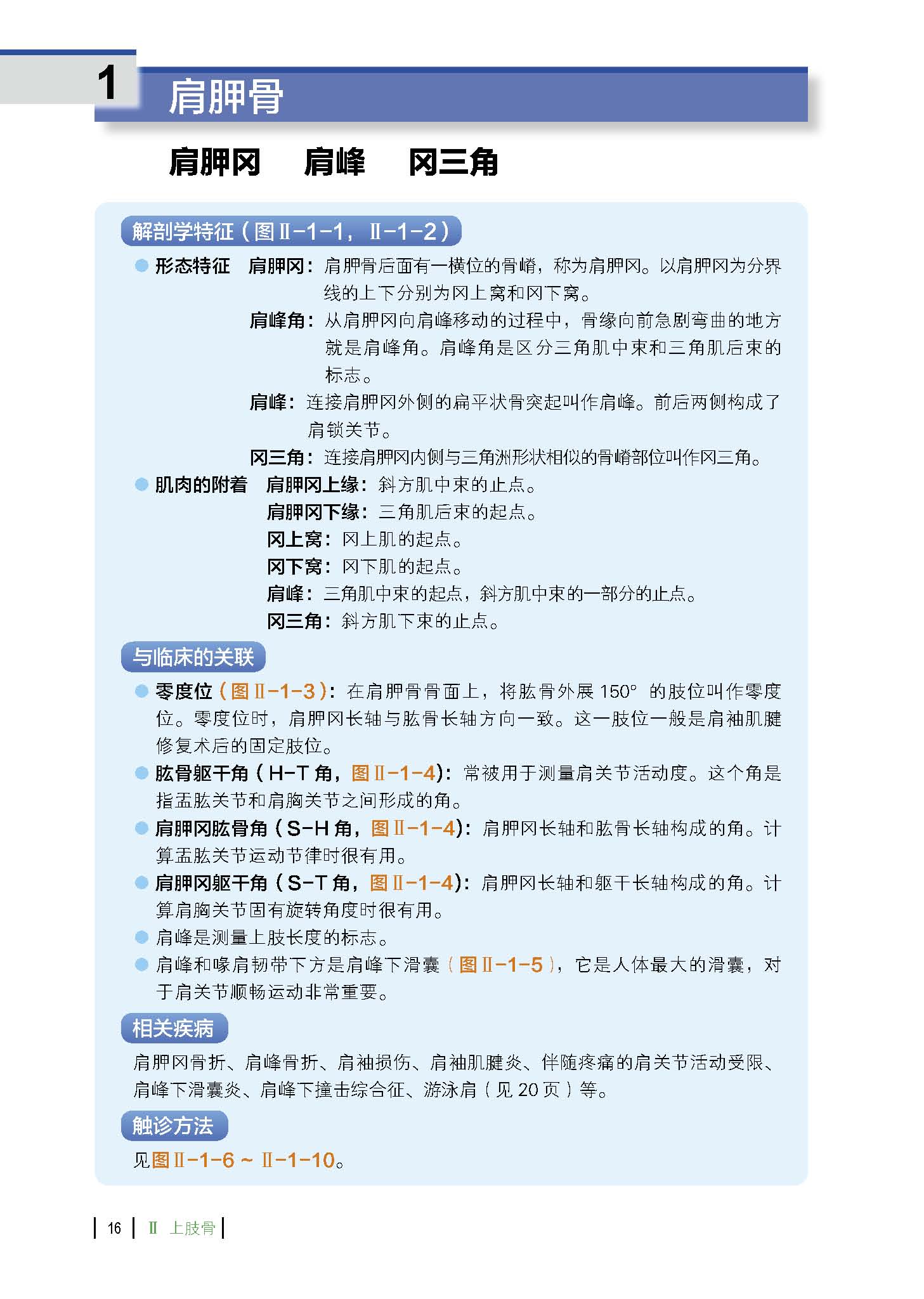 功能解剖触诊技术上肢第2版运动康复医学解剖日本重印20余次北京科学技术-图1