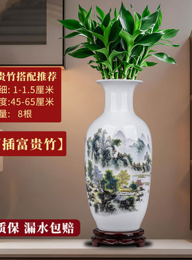 家居饰品花瓶富贵竹大号水养桌面