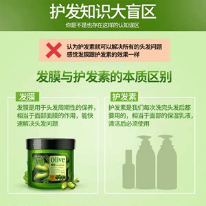 泊泉雅 橄榄护发素发膜正品修复干枯女柔顺顺滑改善毛躁头发免蒸