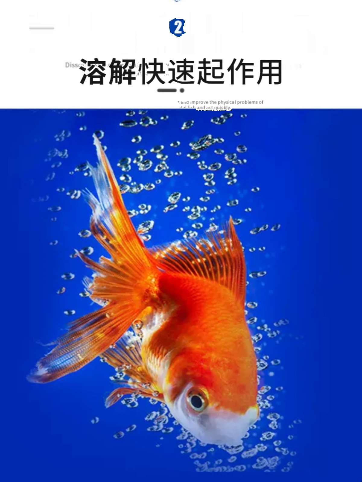 鱼药烂身烂尾炸鳞锦鲤金鱼斗鱼肠炎内寄炸鳞腹水内寄充血烂鳍 - 图1