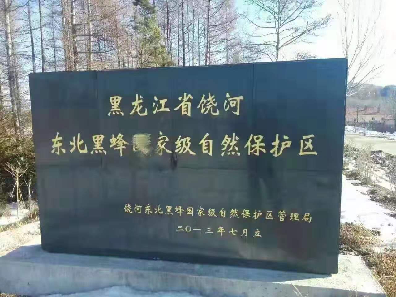 东北黑蜂种王饶河保护区核心区一代纯种原种王官方正品保证后代纯 - 图1