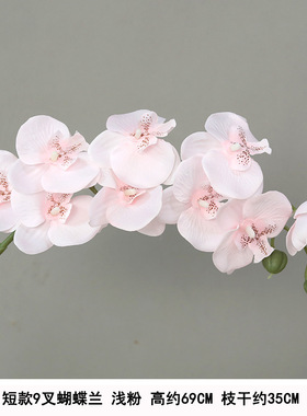 仿真花蝴蝶兰家居摆件