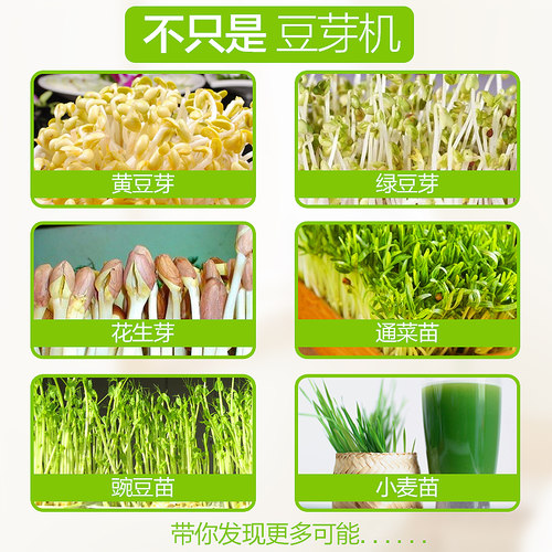 康丽CB-A330双层多功能恒温家用全自动豆芽机芽菜机做酸奶米酒机 - 图2