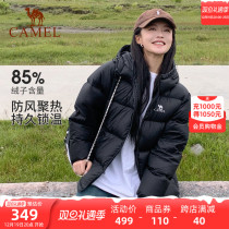 Small Red Book The Same Camel Woman Dress Short down jacket Winter Duck Suede Couple with the same Cap Down and Down Bread Coat jacket