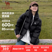 Camel wool suit down clothes male and female short 2023 Winter windproof thickened warm 90 white duck suede coat jacket