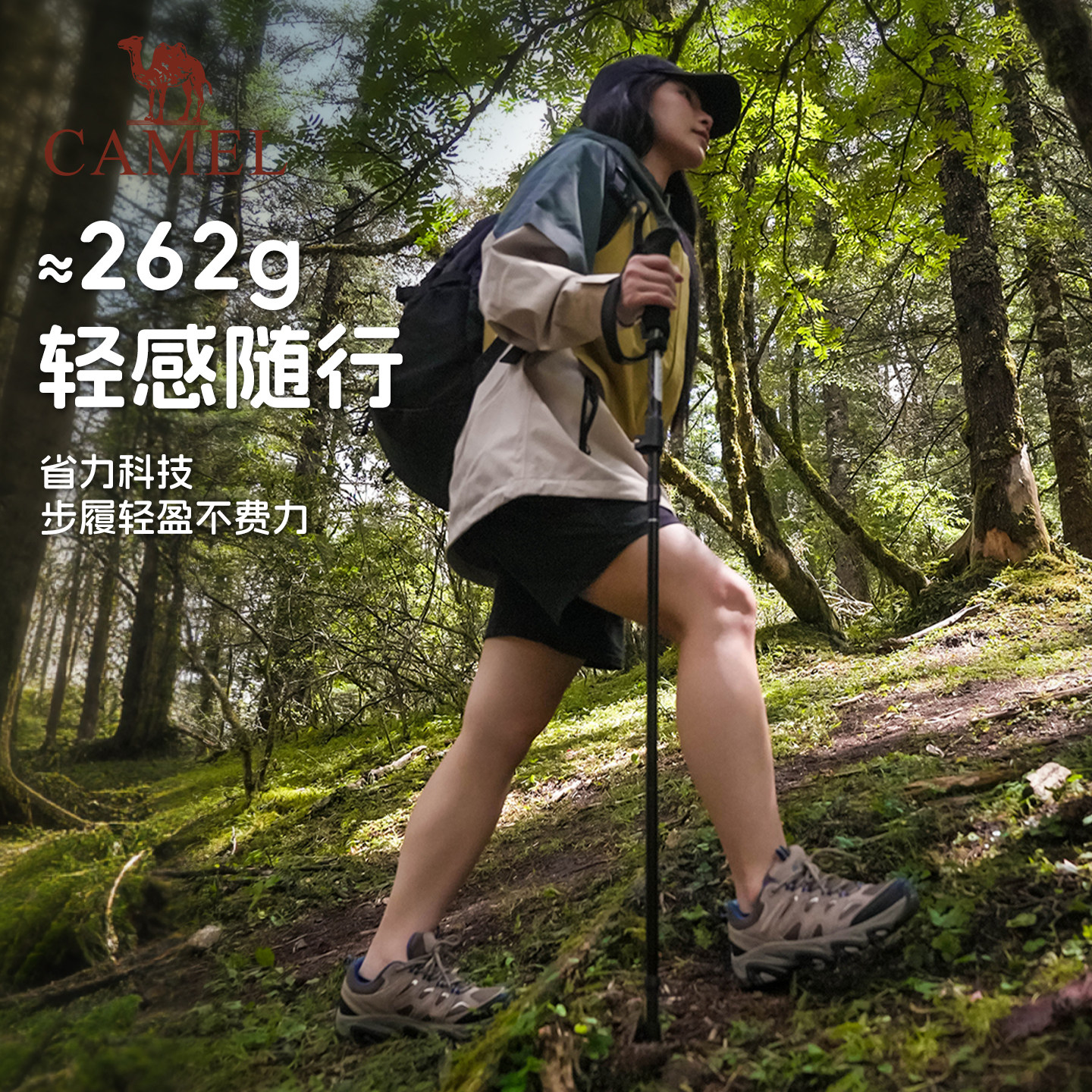 图 2