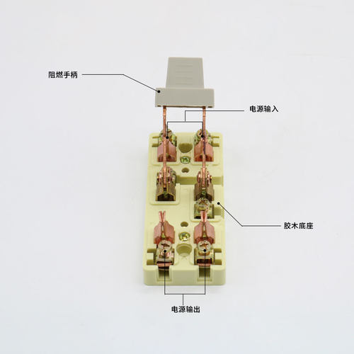 双向双投闸刀开关2P 32A 倒顺刀闸220V 单相双电源转换切换开关 - 图1