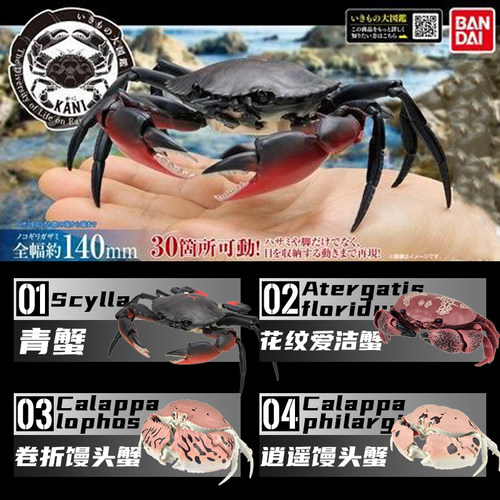 正品万代 仿真动物扭蛋团子虫 鼠妇 犰狳蜥/蜥蜴 西瓜虫鳄龟 螃蟹 - 图2