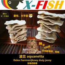 Polish Bio Pyramid Profiled Breeding Jars Spawning Shelter From Five Holes Brick Crystal Shrimp House Fish Tank Pendulum barbetta