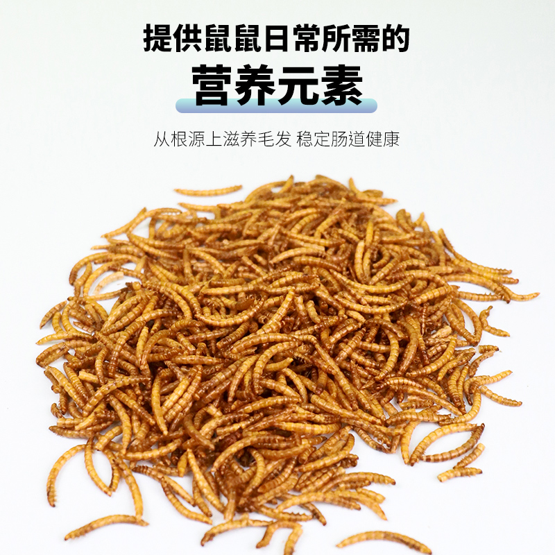 仓鼠粮食饲料刺猬面包虫干黄粉虫龟粮用品小仓鼠营养主粮零食鸟食 - 图1