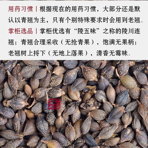 连翘经方中药材野生陵五味青翘老翘黄翘新货饱满无柄禾和本草包邮 - 图2