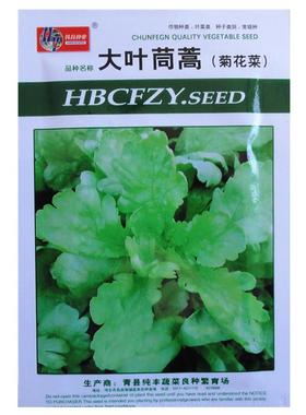 大叶茼蒿种子阳台菜园春夏秋四季播种蔬菜种子好吃易种植菊花菜籽