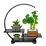 Ziguang Sandalwood Micro Bonsai рама рамы стойки из красного дерева многослойные цветочные стойки стойка