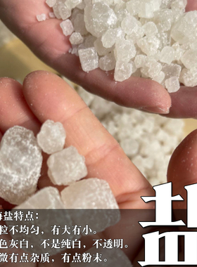 盐热敷专用大粒盐天然海盐粗盐大粒盐热敷专用大粒盐大青盐