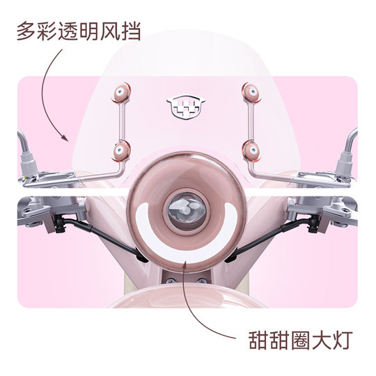 Luyuan electric moped MODA60