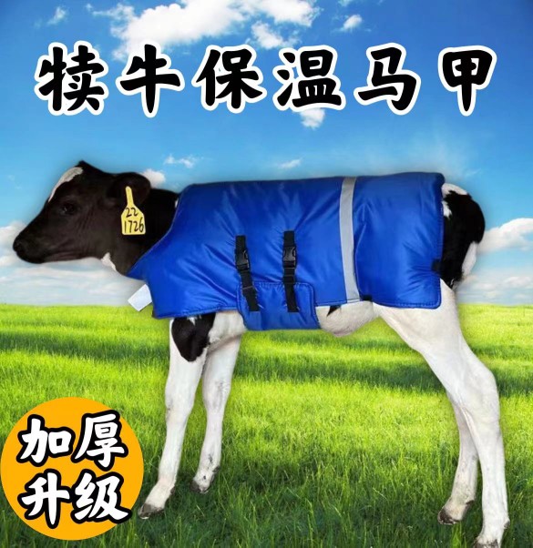 加厚防水加大犊牛马甲保暖外套防风牛犊衣服小牛防寒外套小牛器械-图3