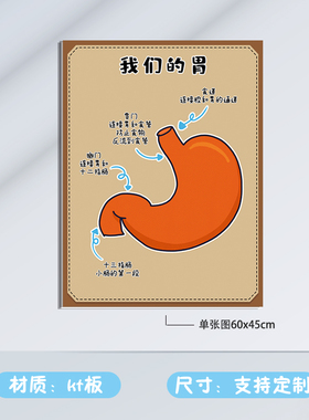幼儿园人体器官结构科学奥秘展板