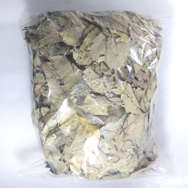 番石榴叶茶500克 野生晒干红心番石榴叶子芭乐叶茶番石榴果干片茶 - 图2