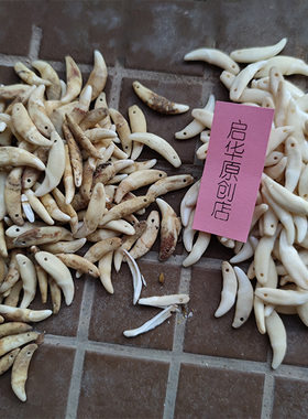 免费刻字黑狗牙宝宝本命年手链