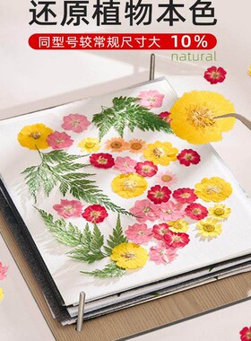押花器植物标本制作工具