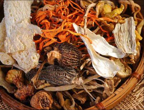 云南菌包七彩野生菌煲汤羊肚菌干货无杂无硫菌菇煲汤 - 图1