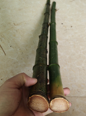毛料精品把玩雕刻异形老玉竹