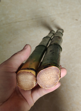 毛料精品把玩雕刻异形老玉竹