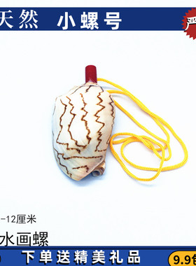 包邮贝壳海螺号角可吹喇叭口哨海螺贝壳哨子儿童玩具哨小螺号吹响