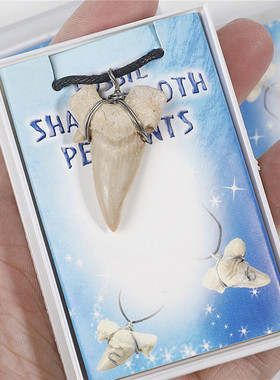 鲨鱼牙齿化石项链手工绕丝牙吊坠