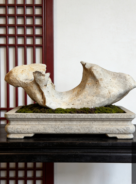 天然太湖石原石盆景附石造景精品奇石室内摆件假山石头