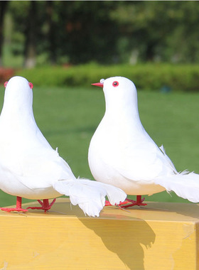 猫头鹰白鸽展翅家居摆件摄影道具