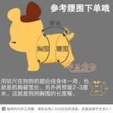 Ультра -тонкие мальчики, используемые для больших собак специальных подгузников, домашних собак, щенков без влажной подушки физиологические штаны, пожилые люди