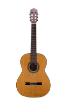 Indian Rose Wood Face Single Red Pine Cedar Veneer Nasio NC50 Beginner Student Classical Guitar