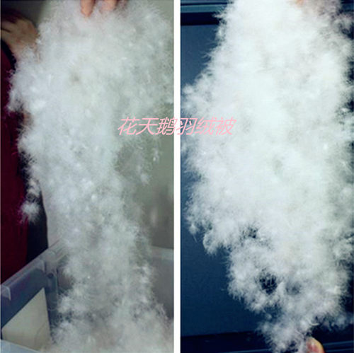 散装进口羽绒优质98%大朵白鹅绒吊绒冬季羽绒服羽绒被填充物包邮 - 图0