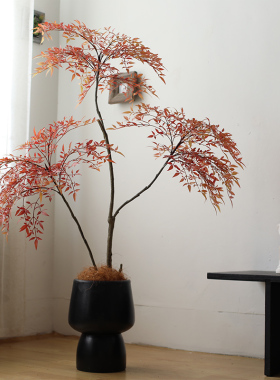 原介家居绿植盆景艺术造型