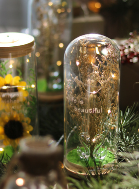 玻璃瓶小夜灯场景布置桌面装饰