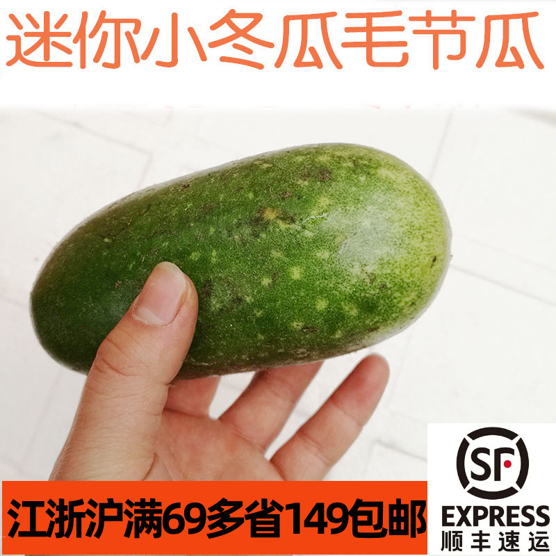 新鲜广东毛节瓜约350g/颗小冬瓜毛瓜粤菜煲汤食材清甜脆嫩-图0