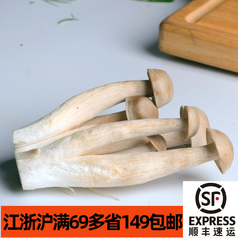 小品类菌菇 新鲜鹿茸菇1kg蘑菇 口感类似鸡枞菌 餐饮采购稳定供货 - 图0